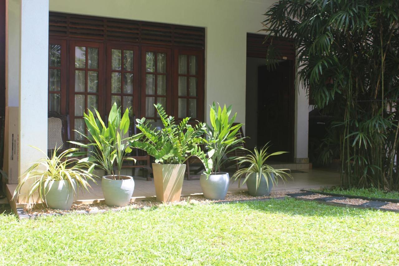 Bird'S Nest By Natures Bliss Ragama Exterior foto